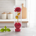 Red rose in a clear vase with a pink heart-shaped base on a white surface.