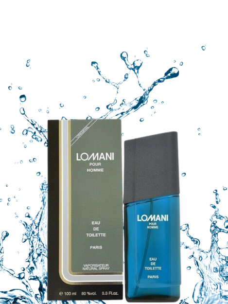 Lomani Pour Homme Perfume 100ml