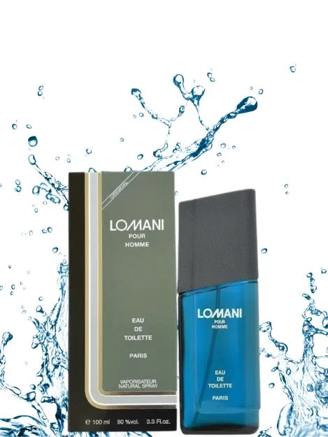 Lomani Pour Homme Perfume 100ml