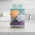 Professional Grade 4-Pack Makeup Sponge Vault – Refined Blending Collection